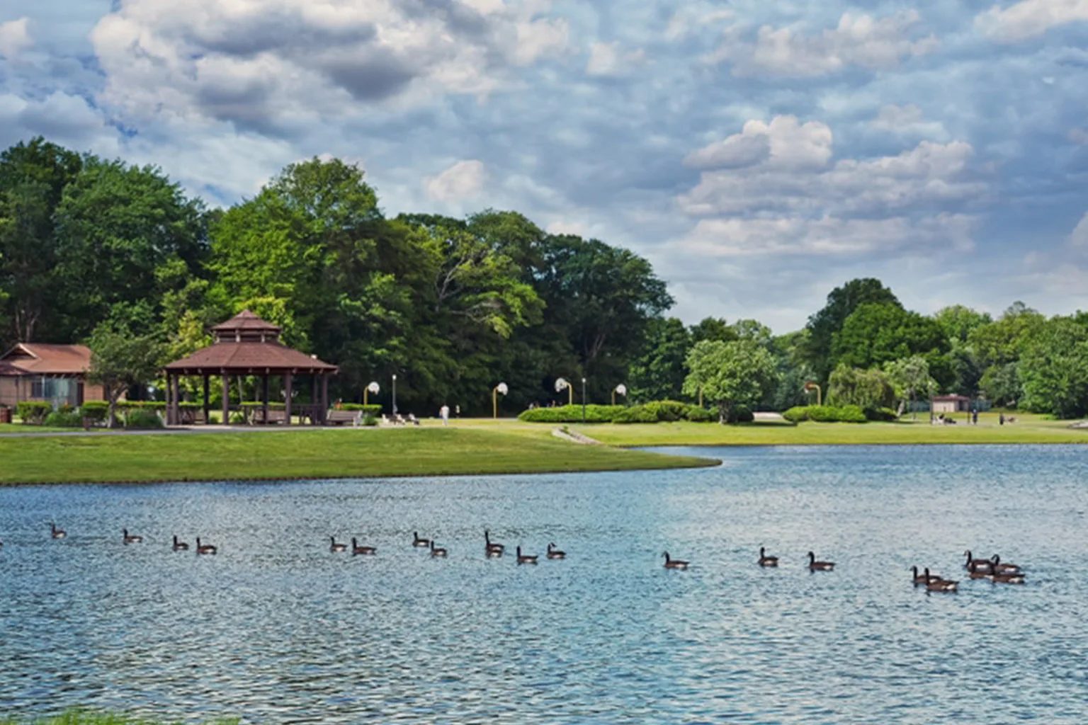 Lake with geese and gazebo